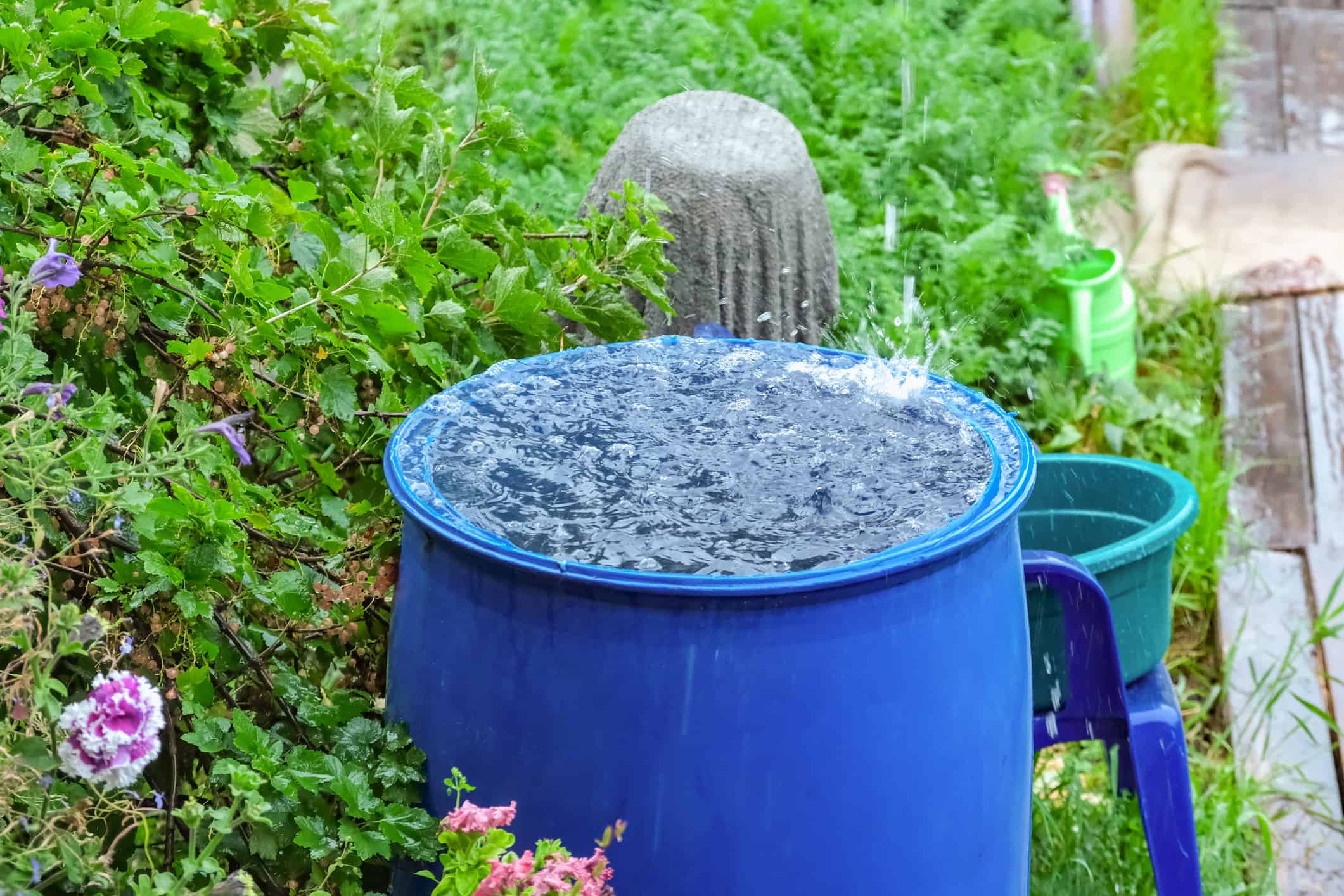 'When It Rains Gold, Put Out The Bucket'