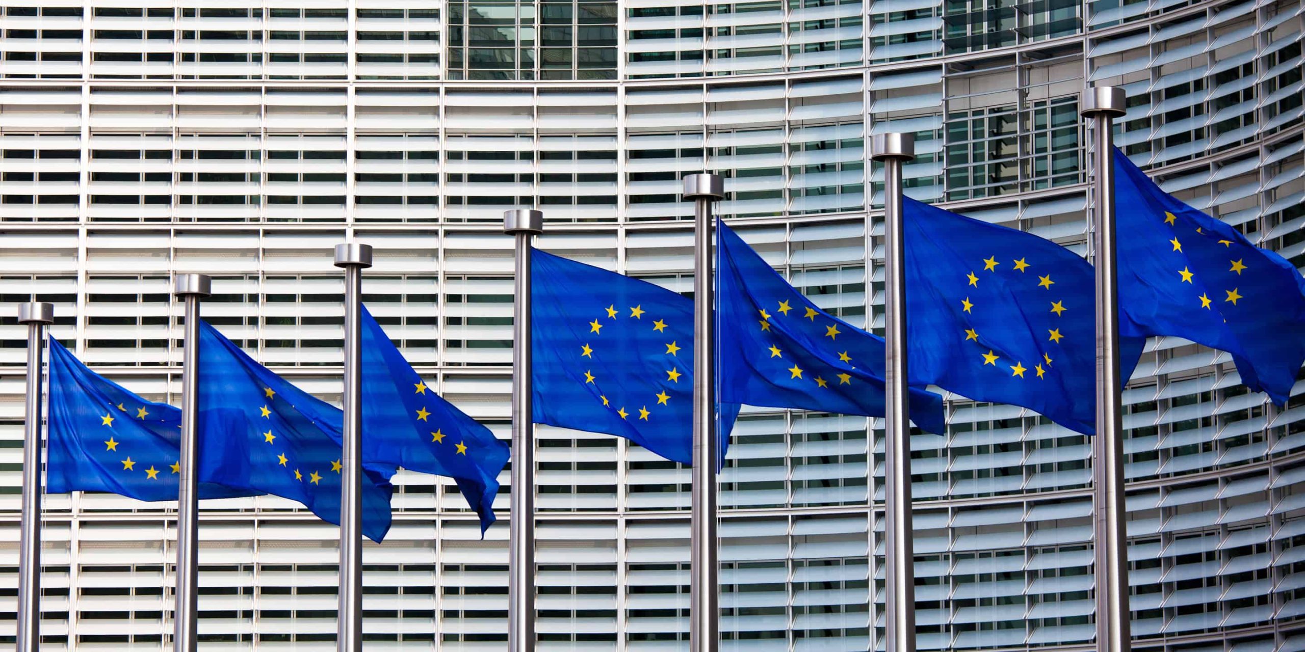 A row of European flags in front of a building