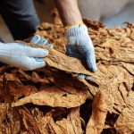 #11 Universal Corp (UVV)