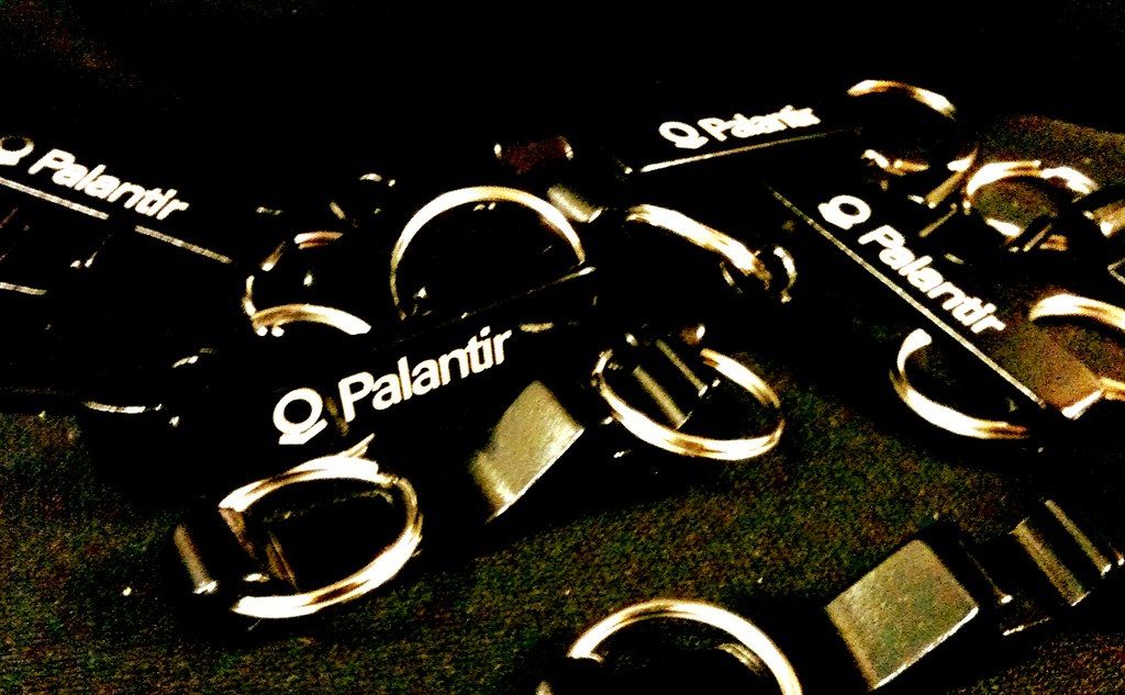 Palantir Technologies Synopsis