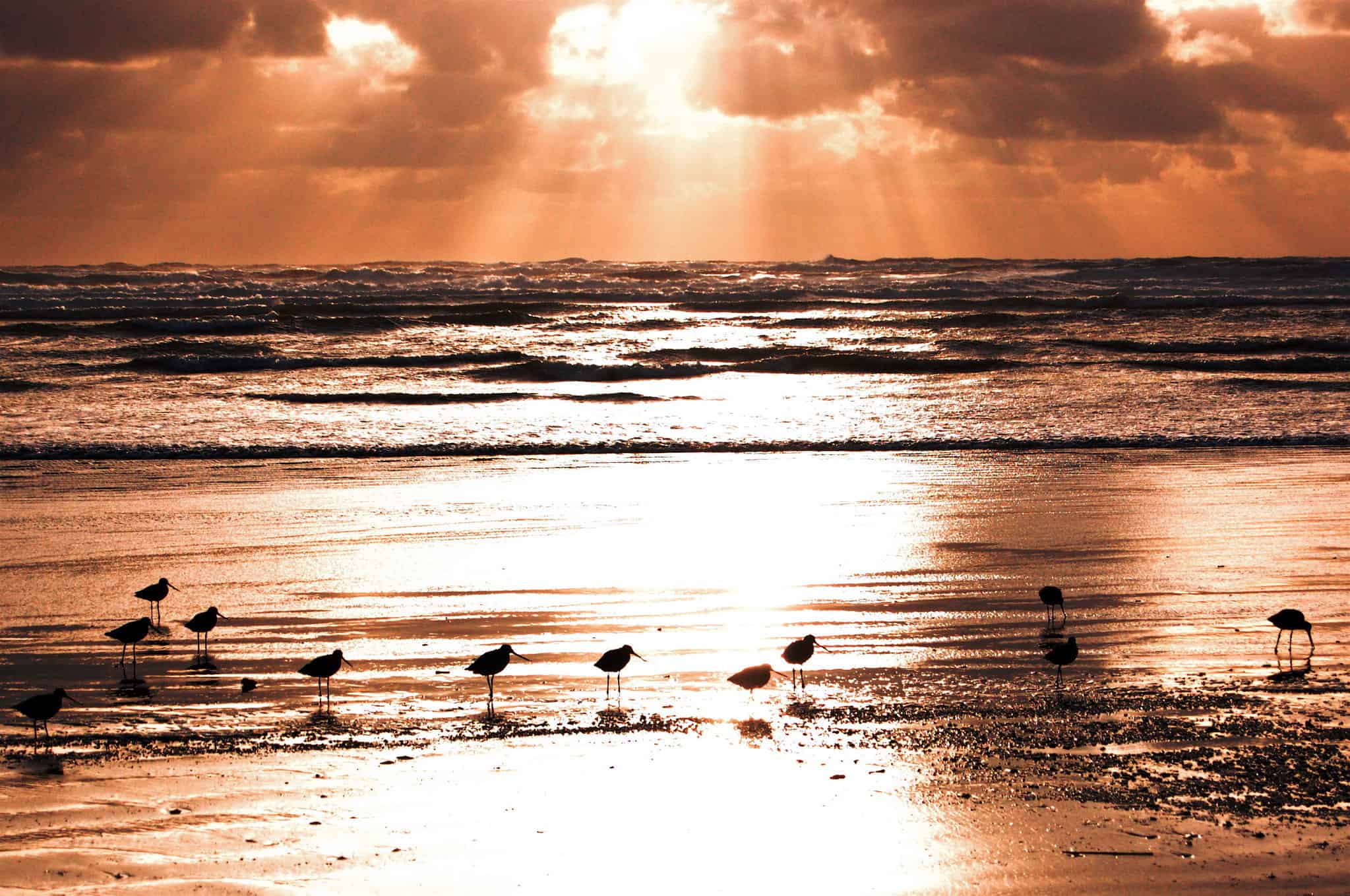 #7 Westport, Washington