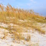 What makes Ocean Springs cheap