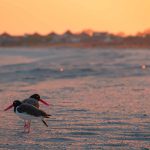 #10 Keansburg, New Jersey