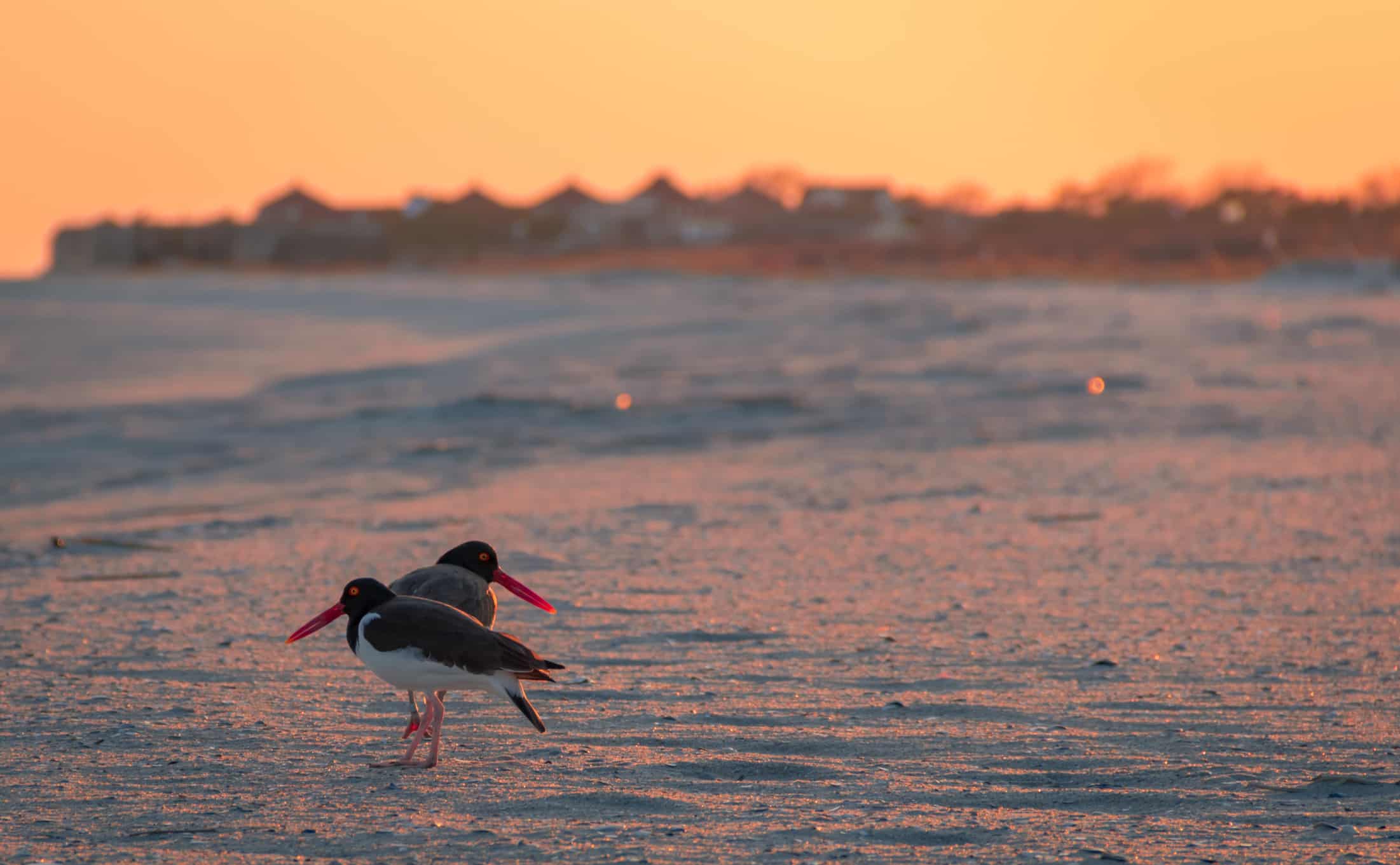 #10 Keansburg, New Jersey