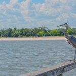 #3 Ocean Springs, Mississippi