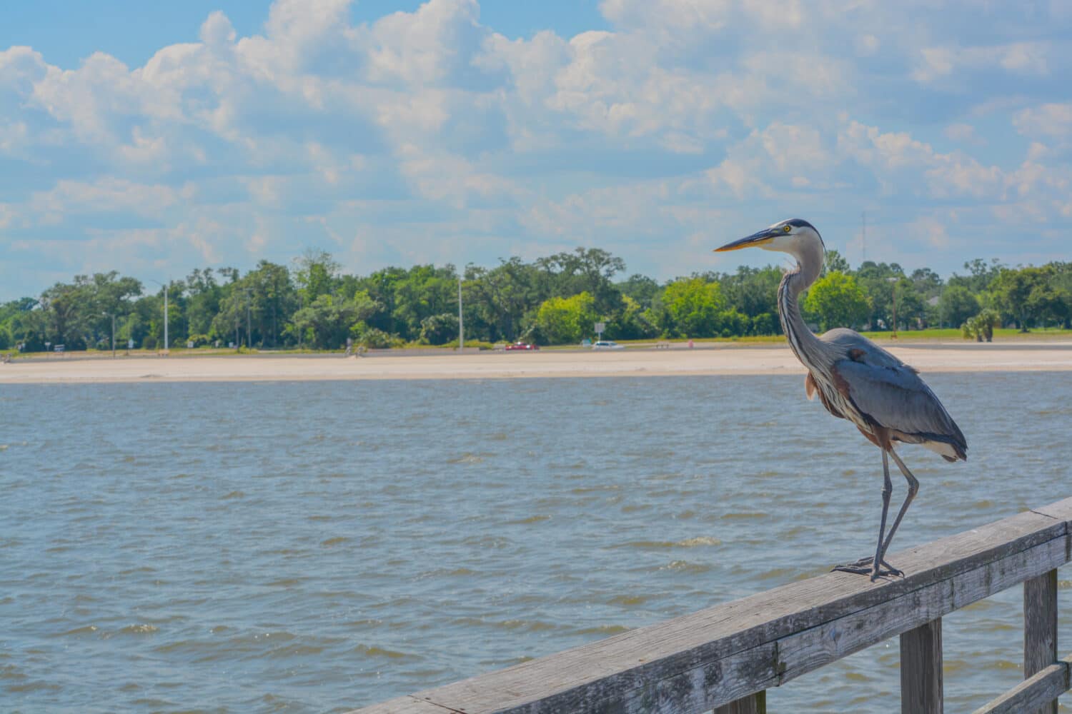 #3 Ocean Springs, Mississippi