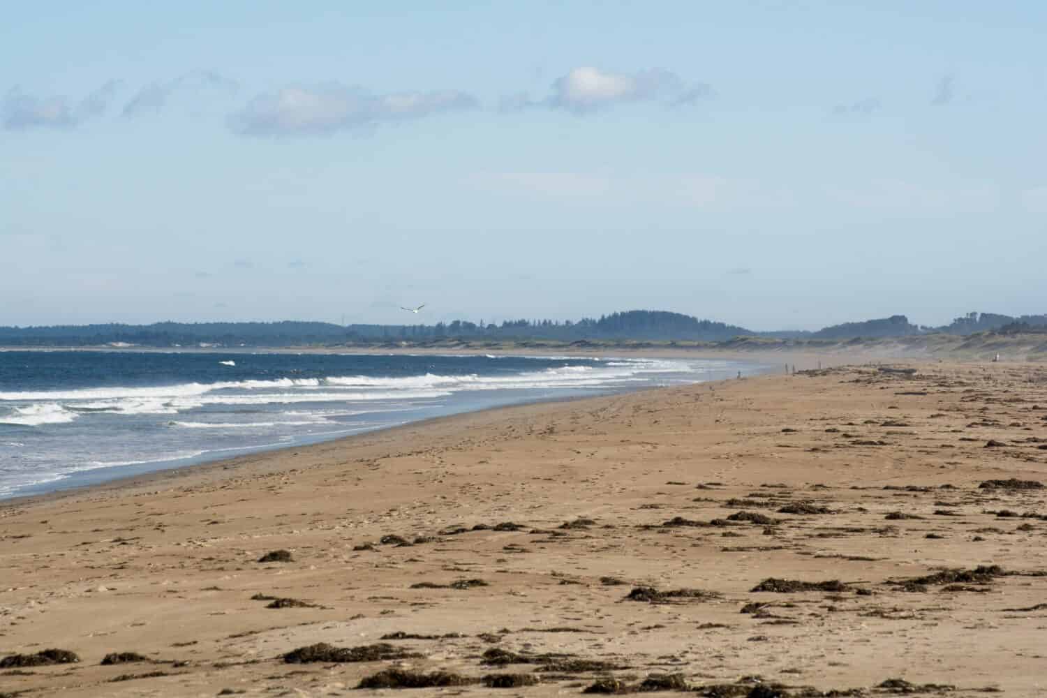 What makes Long Beach cheap