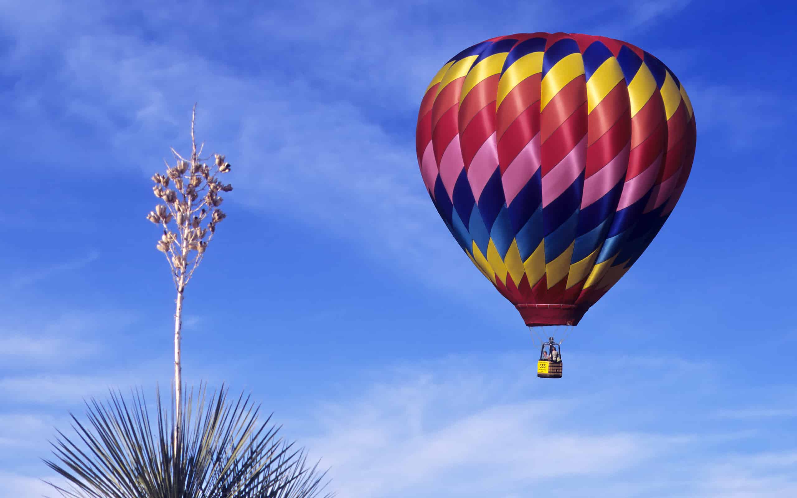 New Mexico Pros and Cons