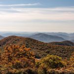 Georgia Pros and Cons