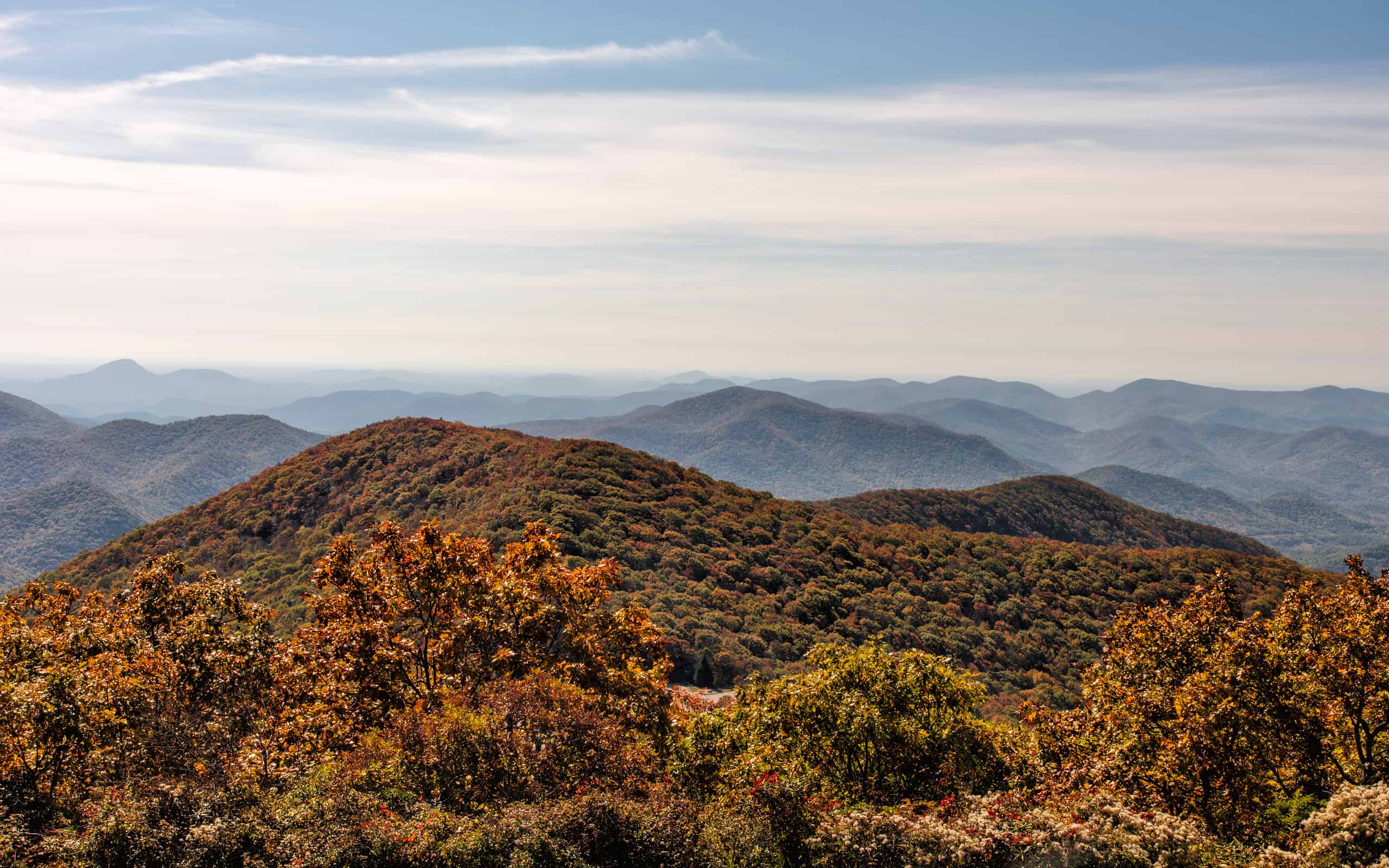 Georgia Pros and Cons