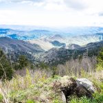 #2 Tennessee