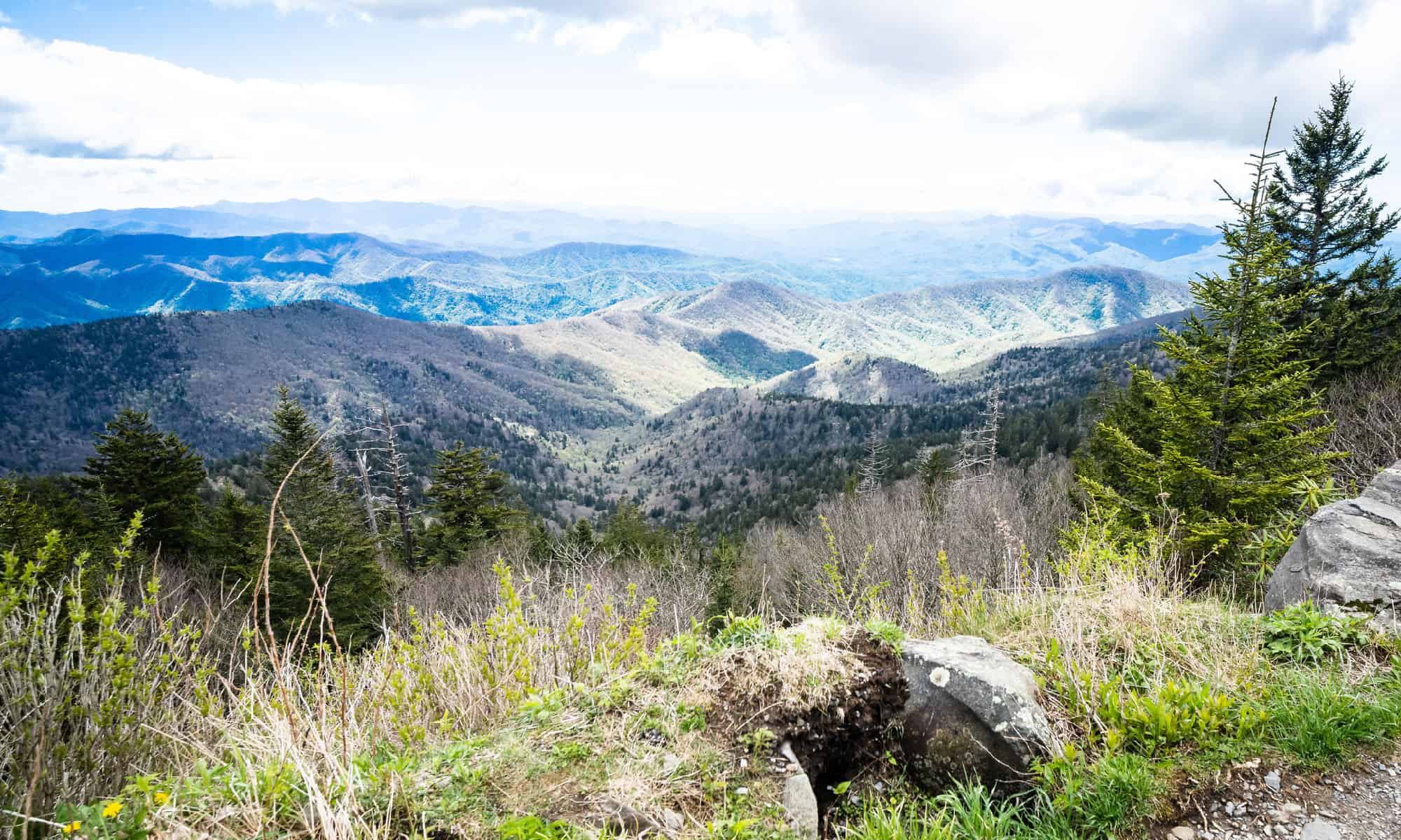 #2 Tennessee