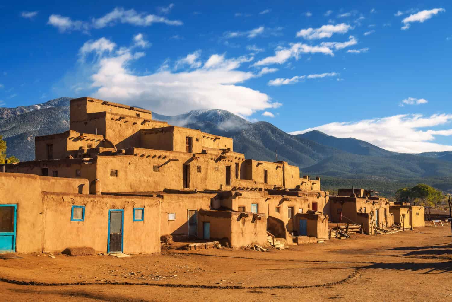 #10 New Mexico