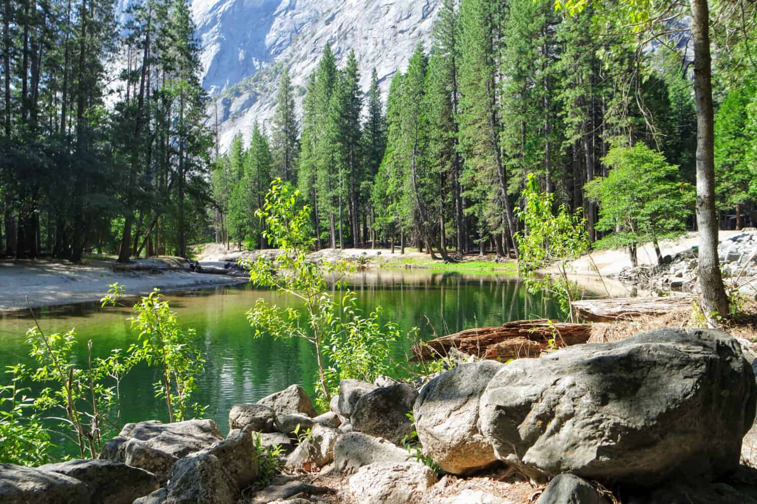 California Pros and Cons