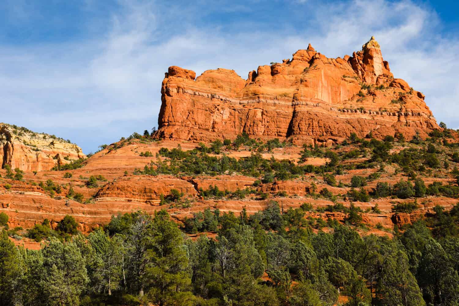 Arizona Pros and Cons