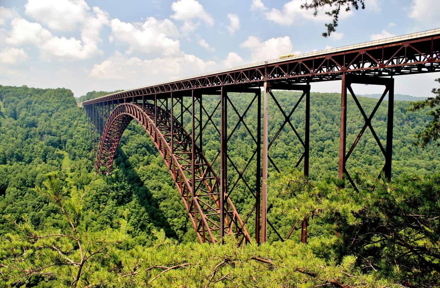 #10 West Virginia