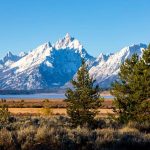 #1 Wyoming