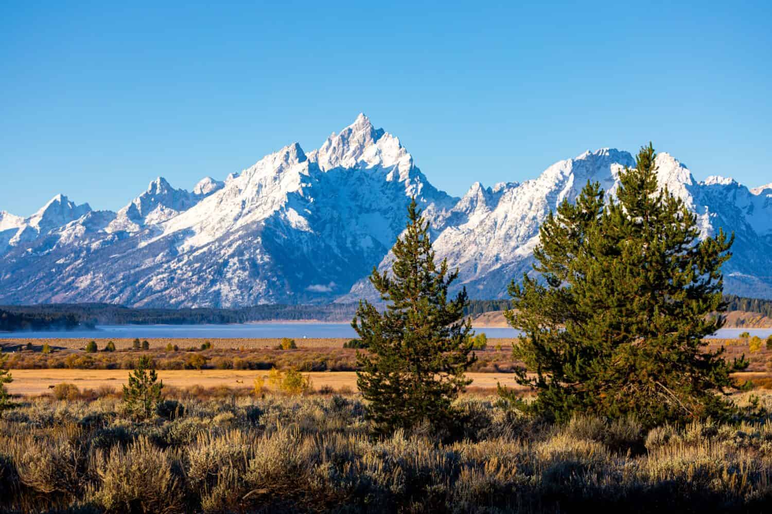 #1 Wyoming
