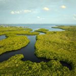 Mississippi Pros and Cons