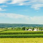 #5 Pennsylvania