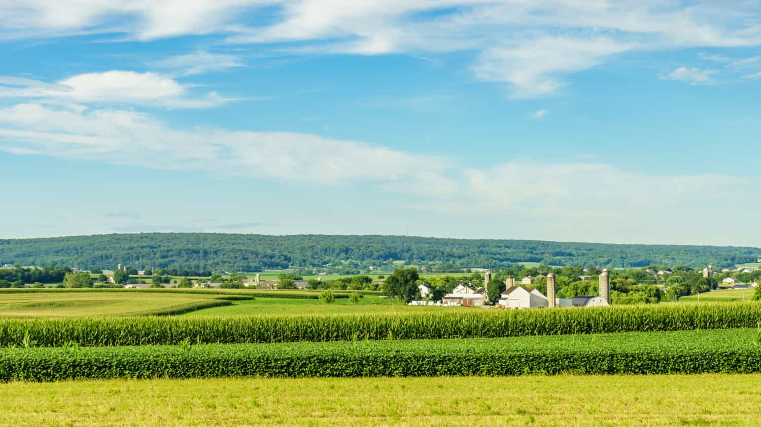 #5 Pennsylvania