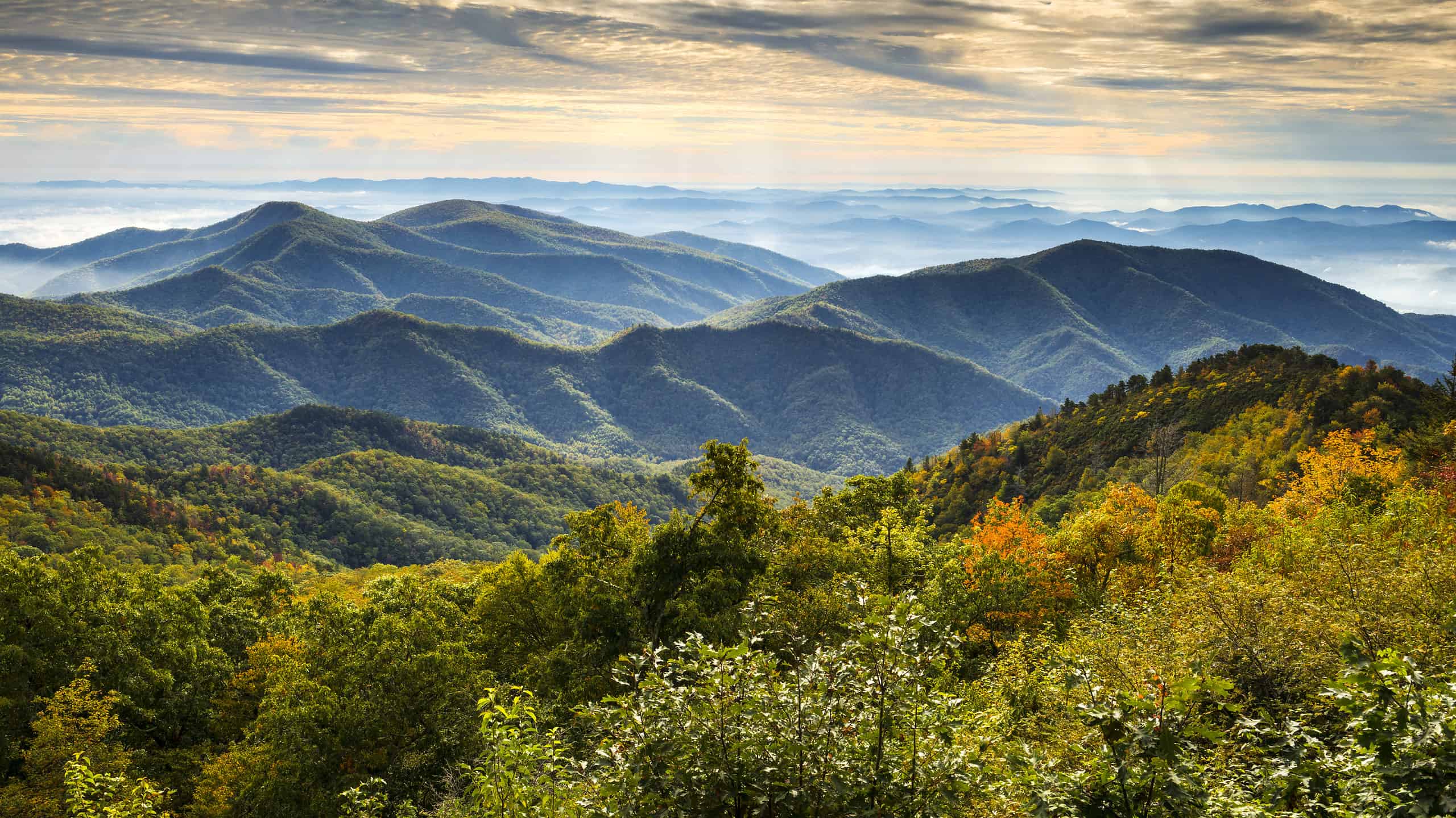 North Carolina Pros and Cons
