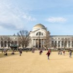 Museums, Sports, And More