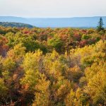 Great Quality Of Life