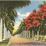 1. Fort Myers, Florida