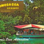 14. Homosassa Springs, Florida