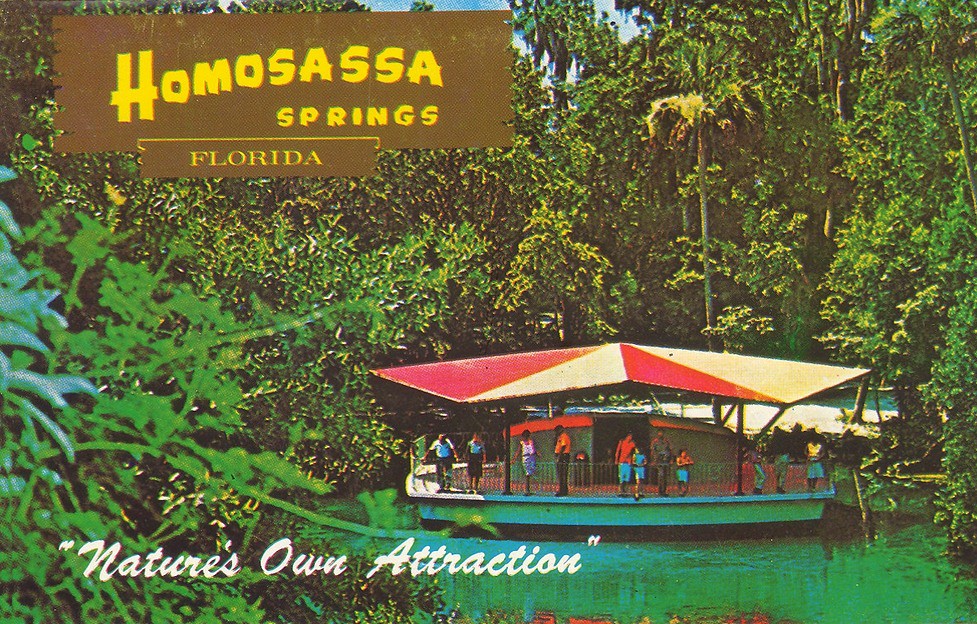 14. Homosassa Springs, Florida