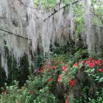 Sullivans Island, South Carolina