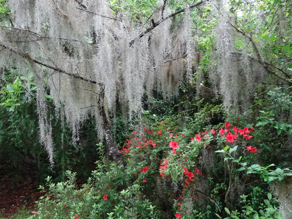 Sullivans Island, South Carolina