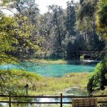 7. Spring Hill, Florida