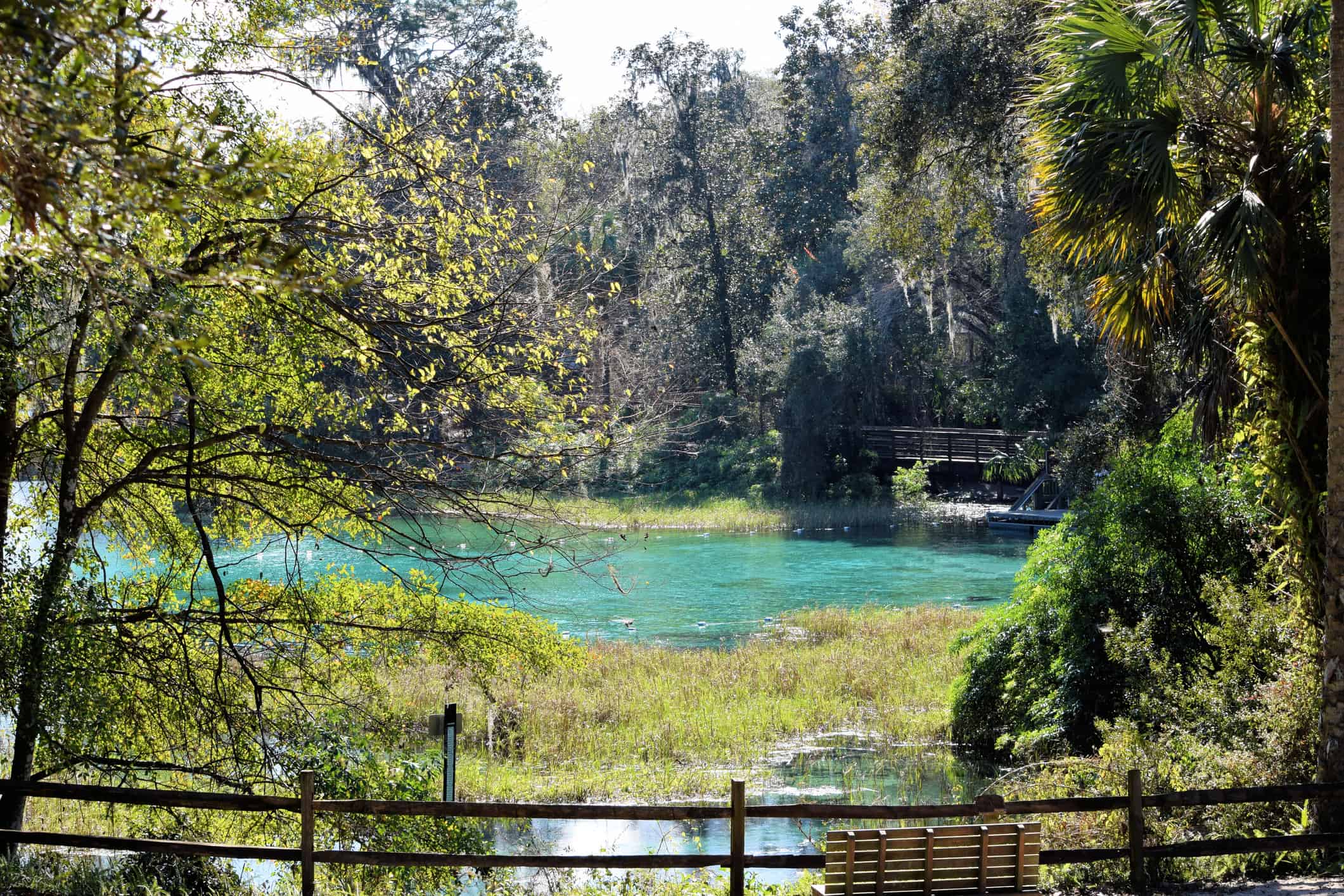 7. Spring Hill, Florida