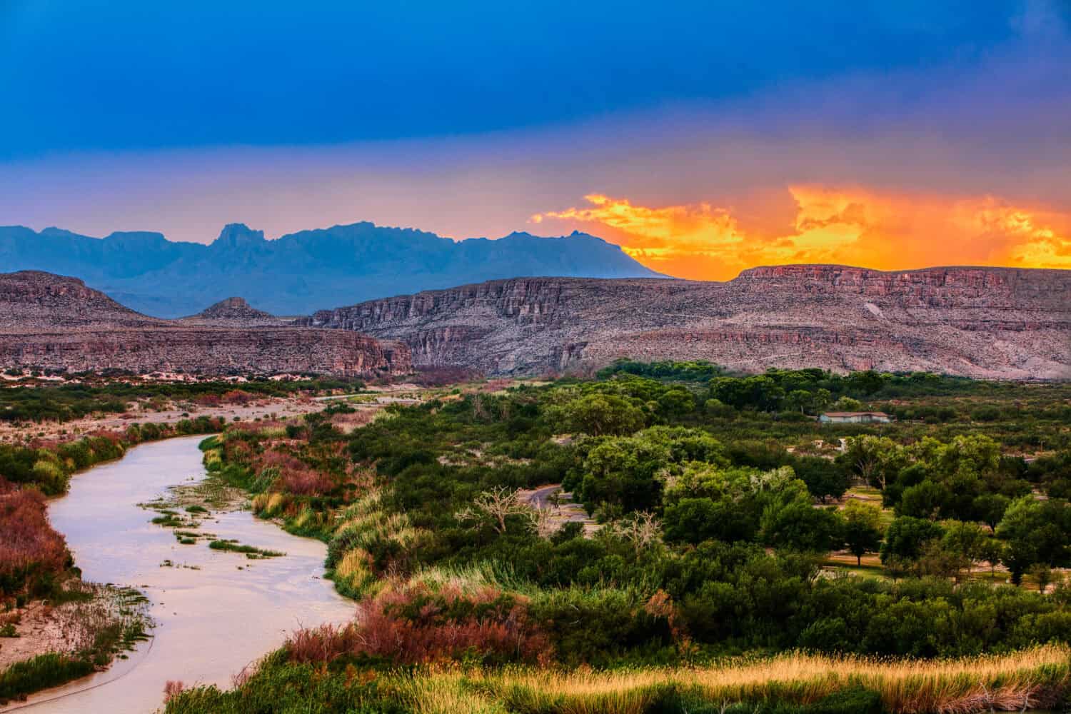Texas