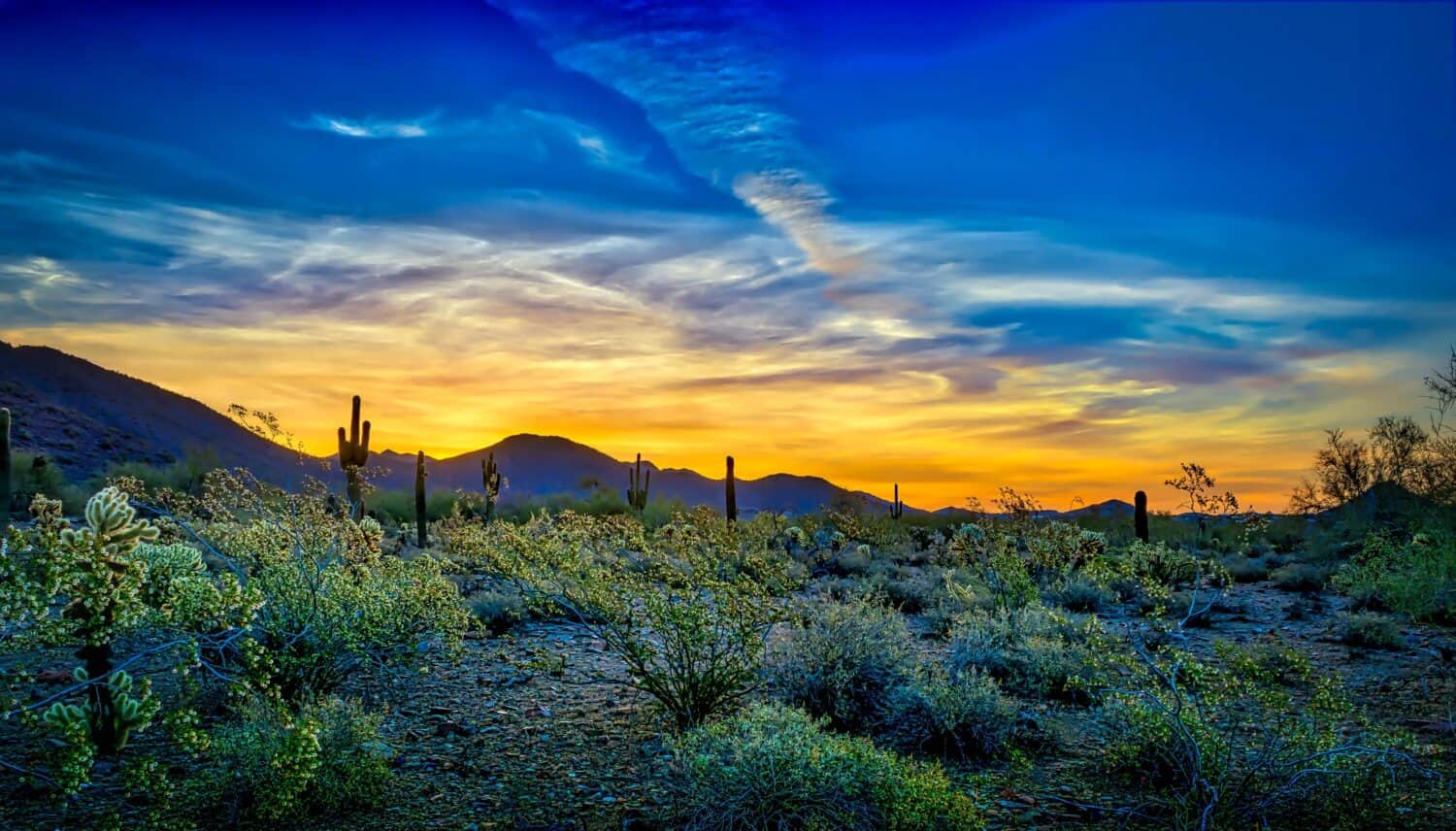 2. Scottsdale, Arizona