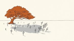 Ink illustration: a broad orange tree casts a wide gray shadow across a field, while young saplings grow around and beyond the edge of the shade.