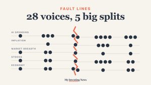Chart: 43 quotes from 28 people placed on scales across five open questions, split down the middle by a fault line