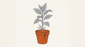 Illustration: a leafy young plant growing from an orange clay pot with a crack down its side
