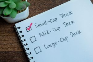 A top-down view of a white spiral-bound notebook on a dark brown wooden desk. The notebook page displays three handwritten options with checkboxes: 'Small-Cap Stock', 'Mid-Cap Stock', and 'Large-Cap Stock'. A prominent red checkmark is visible in the checkbox next to 'Small-Cap Stock', indicating it has been selected. A small green succulent plant in a white pot is partially visible in the upper left corner.