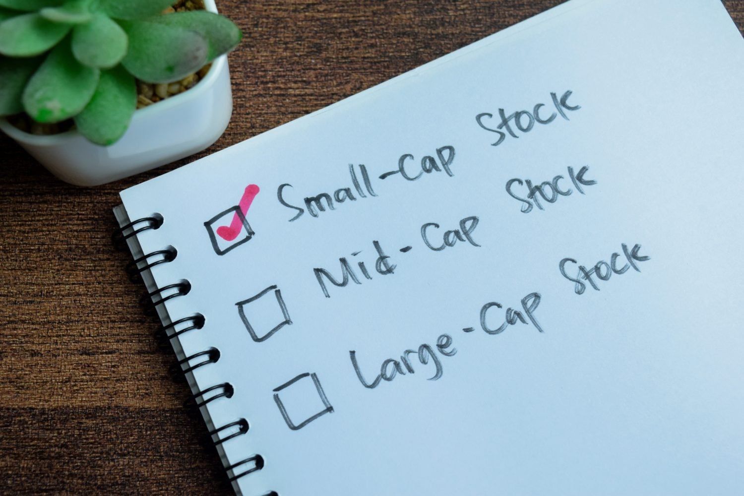A top-down view of a white spiral-bound notebook on a dark brown wooden desk. The notebook page displays three handwritten options with checkboxes: 'Small-Cap Stock', 'Mid-Cap Stock', and 'Large-Cap Stock'. A prominent red checkmark is visible in the checkbox next to 'Small-Cap Stock', indicating it has been selected. A small green succulent plant in a white pot is partially visible in the upper left corner.